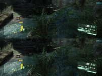 hirsch.jpg