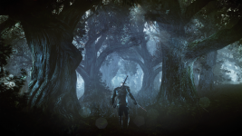 the_witcher_3_wild_hunt_geralt_alone_in_a_deep_and_dark_forest.png
