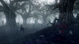 the_witcher_3_wild_hunt_geralt_travels_through_the_leshens_domain.png