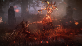 the_witcher_3_wild_hunt_geralt_uses_igni_to_torch_leshen.png