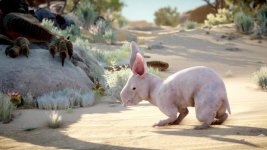 Nug-pc-games.jpg