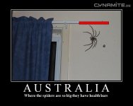 big_spider.jpg big_spider.jpg