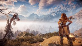 HZD1.jpg