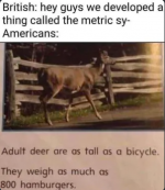 1706211976222.png 1706211976222.png