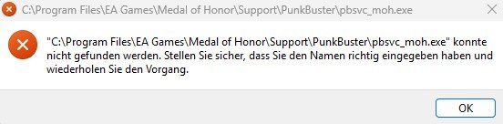 Medal of Honor Fehler.jpg