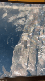 IMG_4233.gif
