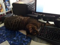 20130521_134108.jpg
