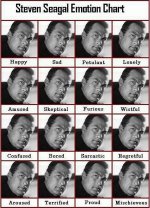 steven_segal_emotion_chart.jpg