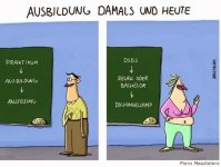 Dschungel.jpg