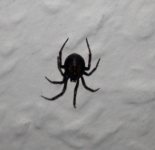 IMG_0848s.png IMG_0848s.png