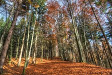 Herbst_1_1024.jpg