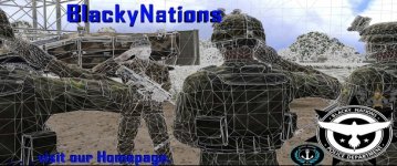 Banner AAF 1.jpg