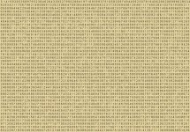 pi.jpg