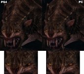 3x1y6mgkyu.jpg