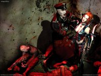 wallpaper_bloodrayne_01_1600_1440x1080.jpg