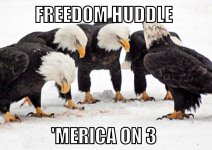 1yGnccL.jpg 1yGnccL.jpg
