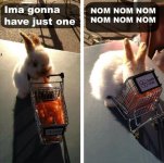 Tiny-Bunny-Has-No-Self-Control.jpg