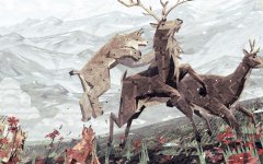 shelte12.jpg