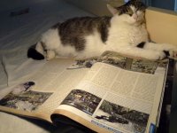 20131006_120154.jpg