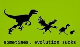 Sometimes+Evolution+Sucks.jpg