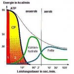 csm_kreatin_01_924ca72153.jpg