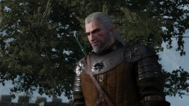 witcher3 2015-05-17 20-11-39-80.jpg