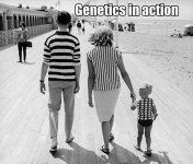 genetics-in-action.jpg