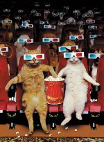 Pets-At-The-Movies.jpg