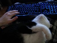 20151127_231232.jpg