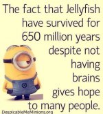 Jellyfish_Minions.jpg