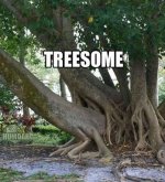 treesome.jpg