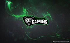 PainlessGaming4.jpg