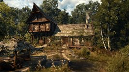 witcher3 4.jpg
