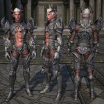 Tera_Platte_Castanic_09.jpg
