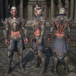 Tera_Platte_Castanic_11.jpg