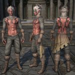 Tera_Platte_Castanic_02.jpg