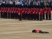 guardsman-collapsed.jpg