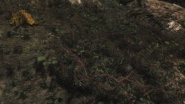 20160611225557_1.jpg 20160611225557_1.jpg