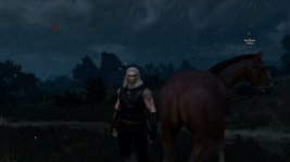 Witcher3 0000.jpg
