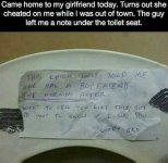 ToiletSeat.jpg ToiletSeat.jpg