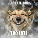 too-late-bro-too-late.jpg
