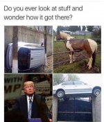 trump.jpg