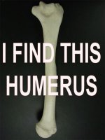 I-Find-Humerus.jpg